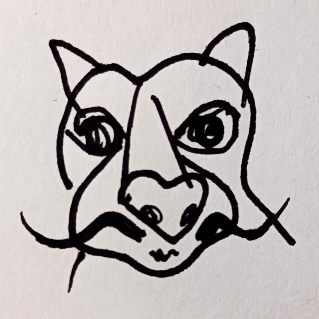 A pen drawing of a cat with mustache